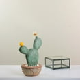 thumbnail image 3 of Northlight 12" Flowering Cactus Artificial Potted Plant - Brown/Green, 3 of 3