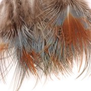 9 Styles Assorted Craft Feathers (180Pcs), Natural Chicken Feathers for DIY Earring Wings Dream Catcher Crafts Activities Project Wedding Party Home Decoration Carnival Costume Party Mask Decoration