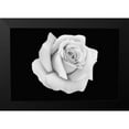 thumbnail image 2 of Phillip, Jamie 24x17 Black Modern Framed Museum Art Print Titled - Rose Dust, 2 of 5
