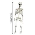 thumbnail image 3 of GiliGiliiso 165CM Skeleton Joint Adjustable Halloween Horror Ornament, 3 of 7