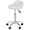 White, variant on WoofPaw Adjustable Hydraulic Rolling Swivel Stool for Massage Salon Office Facial Spa Medical Tattoo Chair Stool w/Backrest Cushion & Wheels,Black