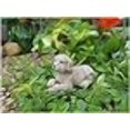 thumbnail image 2 of Fairy Garden Puppy Waggs, 2 of 2