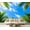Color 3, variant on Wall Mural Peel and Stick Sky Framed by Green Trees Self-Adhesive Wallpaper Removable Wall Decal Wall Sticker Home Decor for Living Room Bedroom 100"x144"