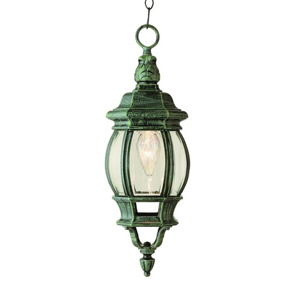 Trans Globe Lighting 4065 1 Light Down Lighting Small Outdoor Pendant From The Outdoor