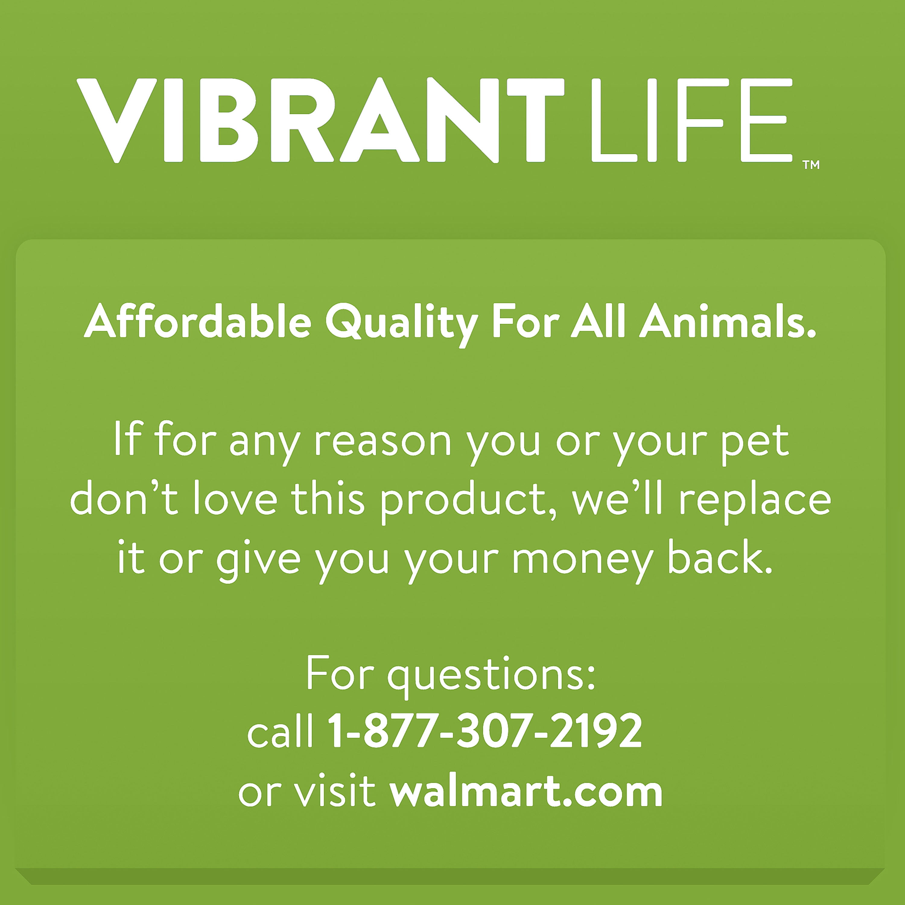 Vibrant Life Elevated Cat Tunnel Bed, Gray, 20"