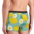 thumbnail image 5 of Kll Lemons Chamomile Flowers And Leaves Men'S Cotton Boxer Briefs Underwear-Medium, 5 of 9