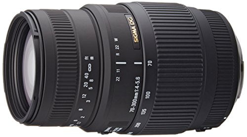 Accessory Bundle Sigma 70-300mm f/4-5.6 APO DG Macro Lens for Canon 