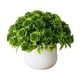 thumbnail image 2 of Artificial Plant Pot, Small Potted Decoration, Living Room Countertops Windowsills, Desktop Greenery, Home Decor, Artificial Plants for Home, Realistic Touch, Stylized Design, High Traffic Plants,, 2 of 8