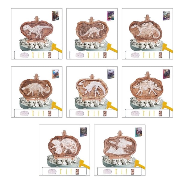Archaeological Excavation Toy Dino Lucky Box Blind Giftbox Present hot heqiyong toy