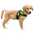 thumbnail image 1 of Arnés para perros Copatchy, no tira, reflectante, ajustable, color verde S, 1 of 6