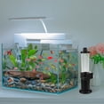 thumbnail image 1 of Raindrops Compact Brine Shrimp Hatchery Kit with Durable Plastic Design for Fish Tank and Live Food Incubator, 1 of 8