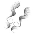 thumbnail image 1 of DIY Baby Hair Tattoo Stickers Hairstyling Template Hair Sticker Edges Stickers Realistic Waterproof Makeup Tool Type 1, 1 of 9