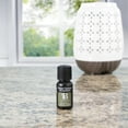 Better Homes & Gardens 100 Pure Essential Oils Blended Into Unique
