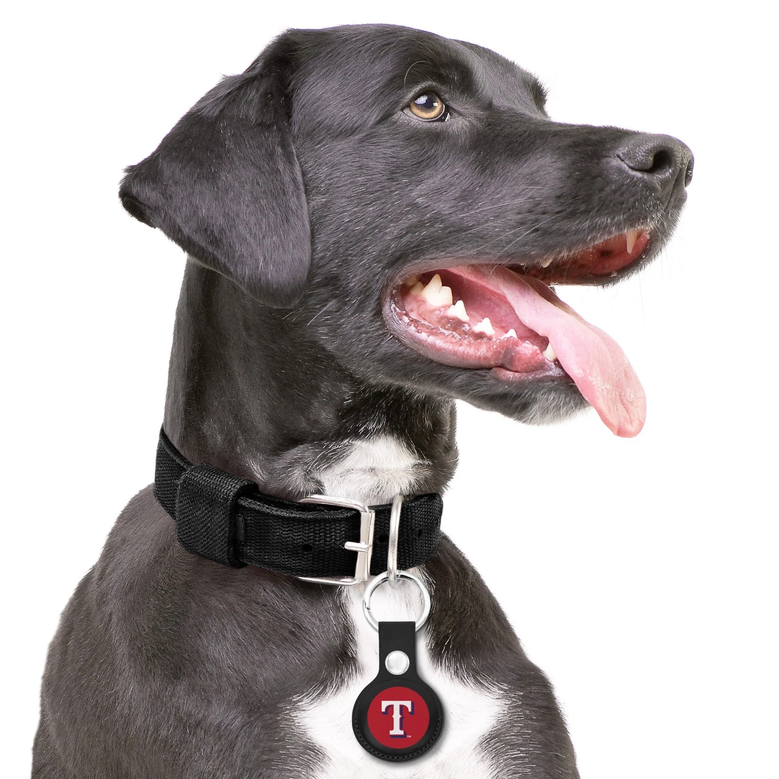 Pets First MLB Keychain Apple Air Tag Holder for Dogs & Cats Leather Airtag Case