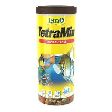 TetraMin Nutritionally Balanced Tropical Flake Food for Tropical Fish, 8.81 oz 8.81 Ounce (Pack of 1)