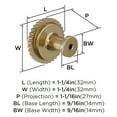 thumbnail image 5 of Amerock Farewind 1-1/4 inch (32mm) Diameter Golden Champagne Cabinet Knob, 5 of 6
