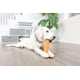 thumbnail image 5 of Juguete para perros Chuckit! Super Crunch Fetch Stick TPR para perros de 9,2 pulgadas, 5 of 7
