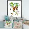 thumbnail image 2 of Designart 'Ancient Fruits III' Farmhouse Framed Canvas Wall Art Print, 2 of 5