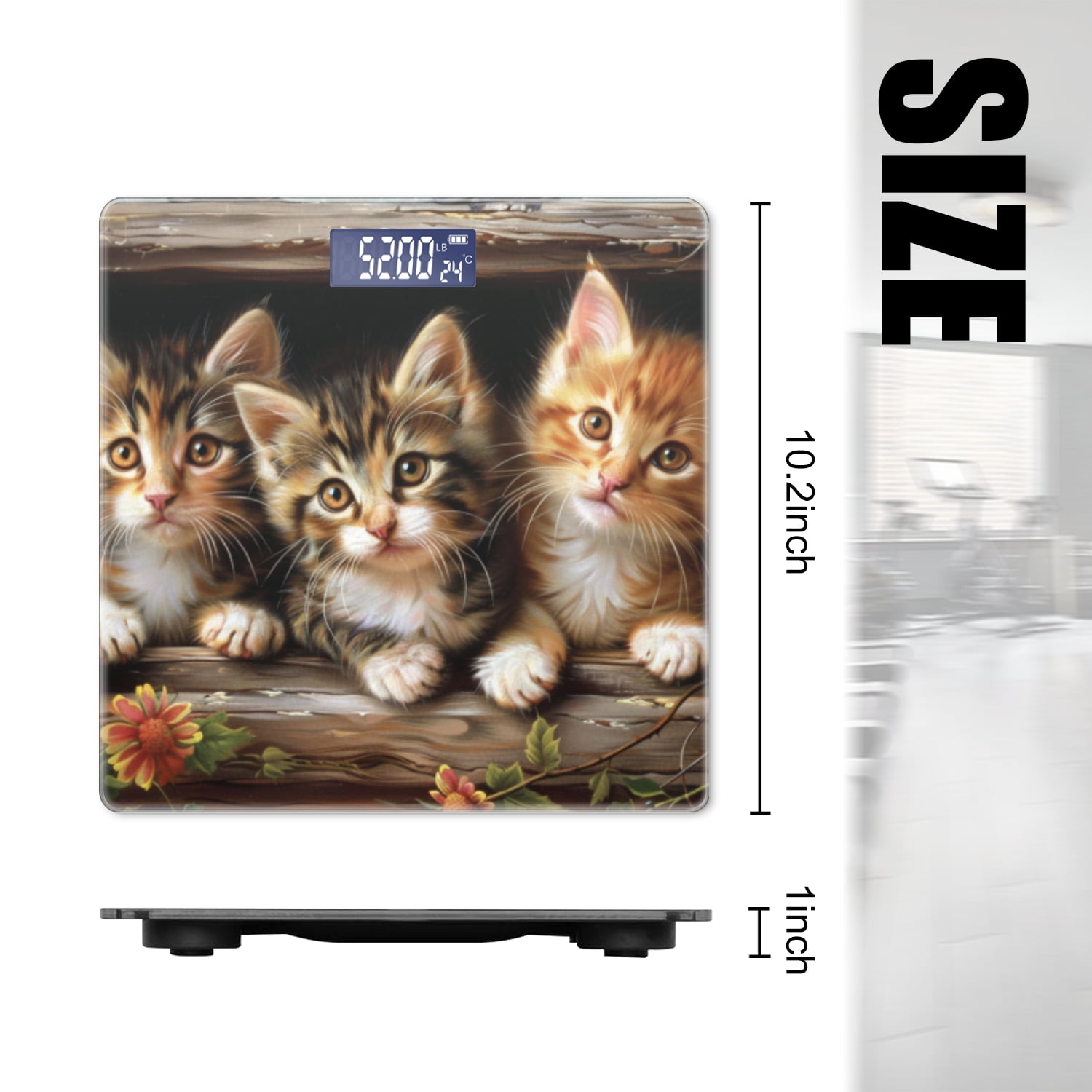 Bathroom Scale, Highly Accurate Digital Body Scale,Precisely Measures Weight up to 400 lbs-Cute Kittens With Long Fur And Big Eyes Sitting In Old Wooden Window