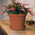 thumbnail image 4 of Bloem Terra Resin Saucer Tray: 8" Bottom Width - Matte, Durable, Ribbed Bottom, Indoor and Outdoor, Fits 10" Terra Pots, Terra Cotta, 4 of 5