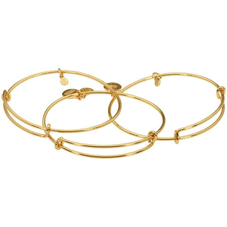 Alex And Ani Set of 3 Yellow Gold Expandable Bangle Bracelet A09EB150YG