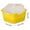 🔥 Yellow_Base#10804, variant on Hydroponic Sprout Growing Tray | Seed Germination Planter Box with Lid | Durable Eco-Friendly Plastic | Fine Mesh for Beans Grains | Ventilated Design | 19x19x9cm | 1 Pack | Green Yellow