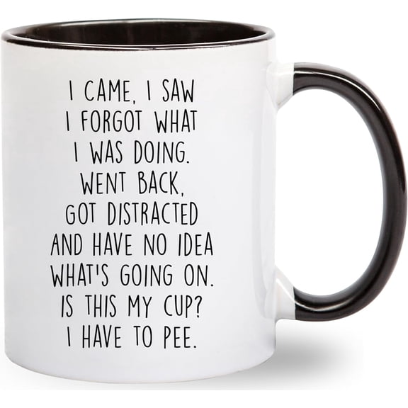 I Came I Saw I Forgot Funny Coffee Mug 11oz Ceramic Mug Novelty Gag Gifts Senior Citizens Sarcastic Gifts