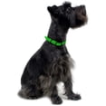 thumbnail image 7 of DogLine - Biothane Waterproof Dog Collar Strong Coated Nylon Webbing with Black Hardware Odor-Proof for Easy Care Clean High Performance Fits Small Medium Large Dogs(Neon Green: L: 9" - 12" |W 1/2"), 7 of 7