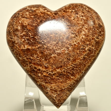 Aragonite Crystal - Heart Shaped Brown Aragonite Crystal Polished Natural Decor Mineral Palm Stone - Peru + Acrylic Display Stand