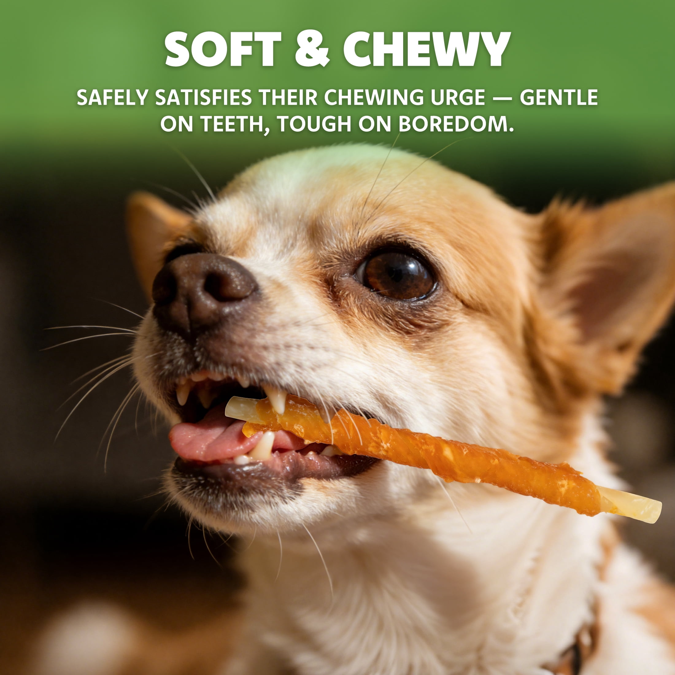(2 pack) MON2SUN Chicken Wrapped Cod Sticks Small Dog Treats, 13 oz (36 Count)