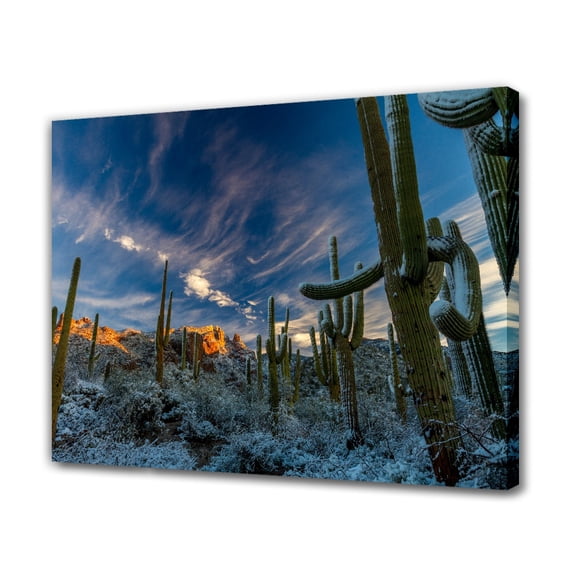 Winter Snow On Saguaro Cactus Canvas Poster Bedroom Decor Sports Landscape Office Room Decor Gift,Frame-style,12x18inch(30x45cm)