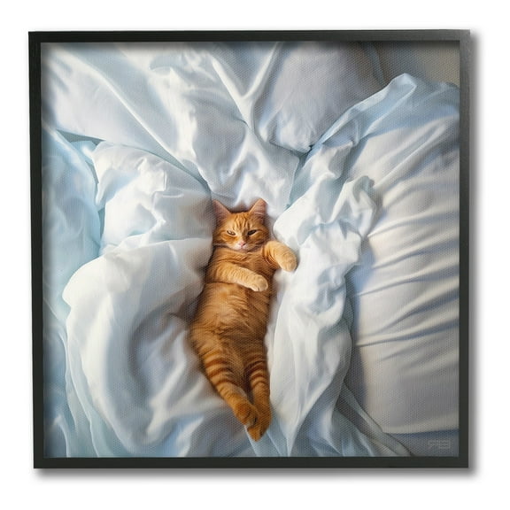 Stupell Industries Sprawled Orange Cat Animals & Insects Painting Black Framed Art Print Wall Art, 12 x 12