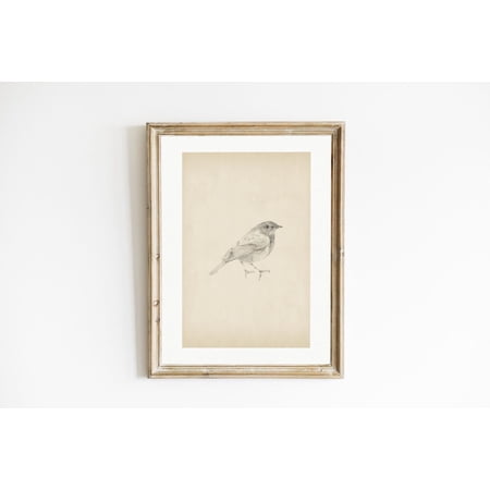 Vintage Bird Sketch Art Vintage Style Pencil Drawing Bird Wall Art Cottage Nursery Ideas Neutral Gallery