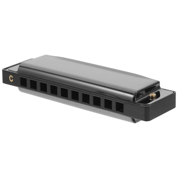 Worgeous Professional Harmonica Exquisite Music Instrument for Beginner Students Musicians（Black）