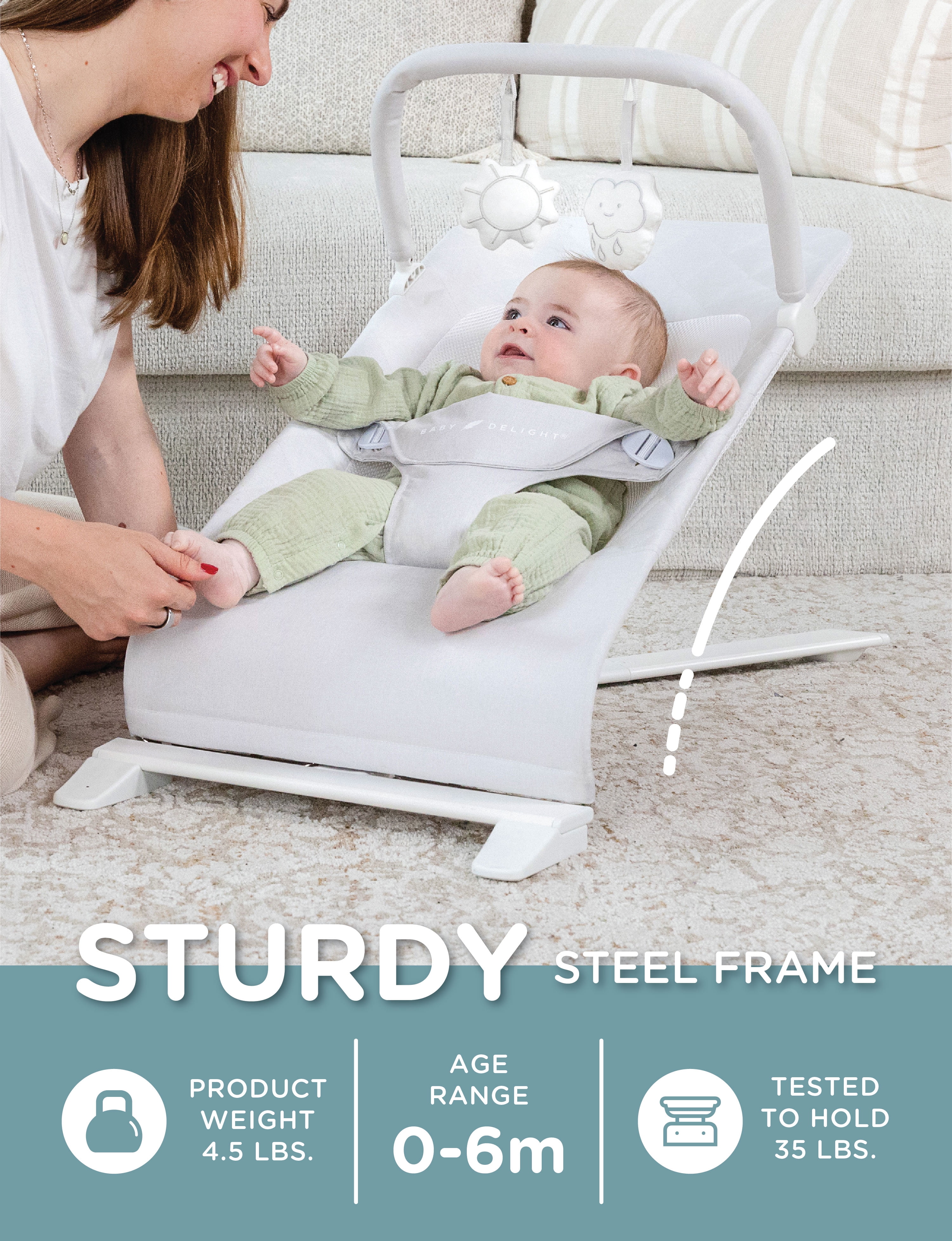 Baby Delight Alpine Deluxe Portable Bouncer, for Infants 0-6 Months, Driftwood Grey