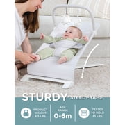 Baby Delight Alpine Portable Baby Bouncer, 3-Position Recline, Lightweight & Foldable, Driftwood Grey