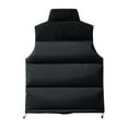 thumbnail image 3 of Rohuuque Men's Winter Puffer Vest Fashion Solid Color Stand Collar Outerwear Full Zip Warm Sleeveless Casual Jacket with Pocket Black, 3 of 7