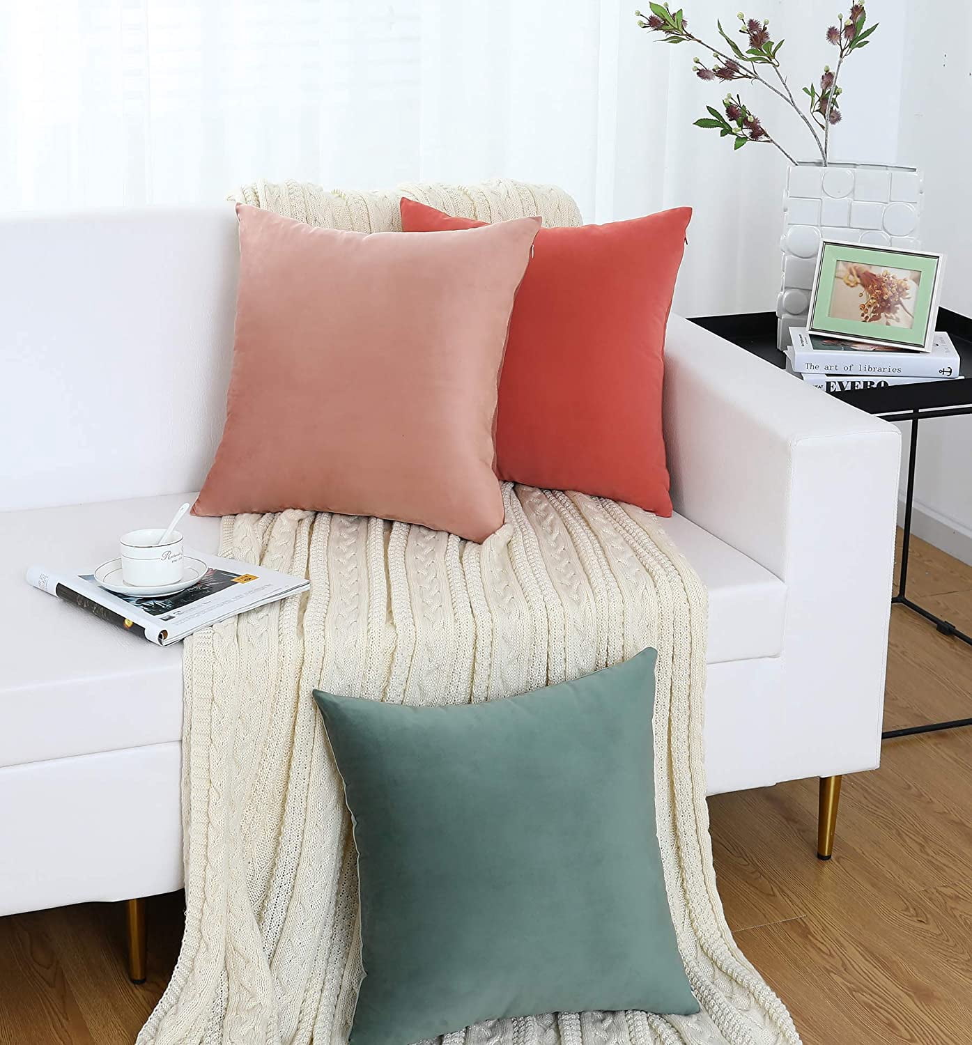 Cterwk Set of 2 Soft Velvet Throw Pillow Cover with Zipper, Decorative Solid Square Cushion Cases for Bedroom Car Sofa Couch, 20 x 20inch