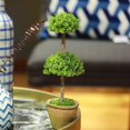 thumbnail image 2 of LuxenHome 1.1-Foot Artificial Topiary Double Boxwood Tree, 2 of 3