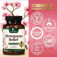 thumbnail image 4 of Menopause Supplement for Women - Natural Menopause Relief Support for Mild Hot Flashes & Night Sweats - Best Probiotics for Women, Dong Quai, Black Cohosh, Ashwagandha - Bottled in USA - 60 Capsules, 4 of 9