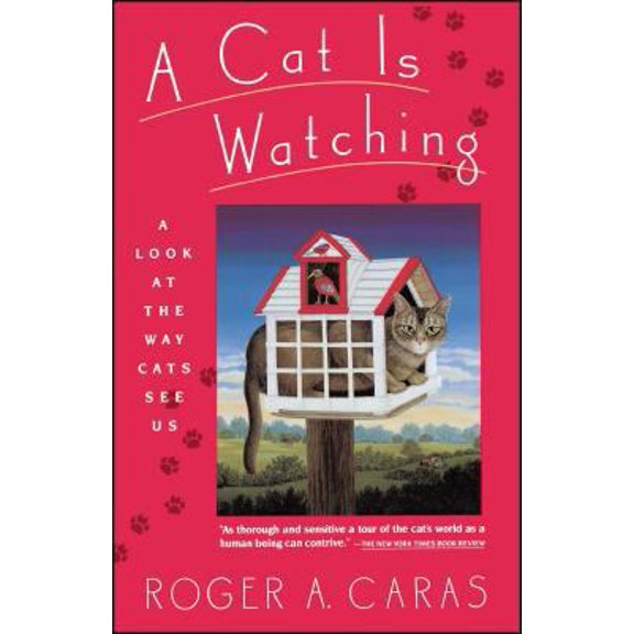 Pre-Owned Cat Is Watching (Paperback) 0671724436 9780671724436