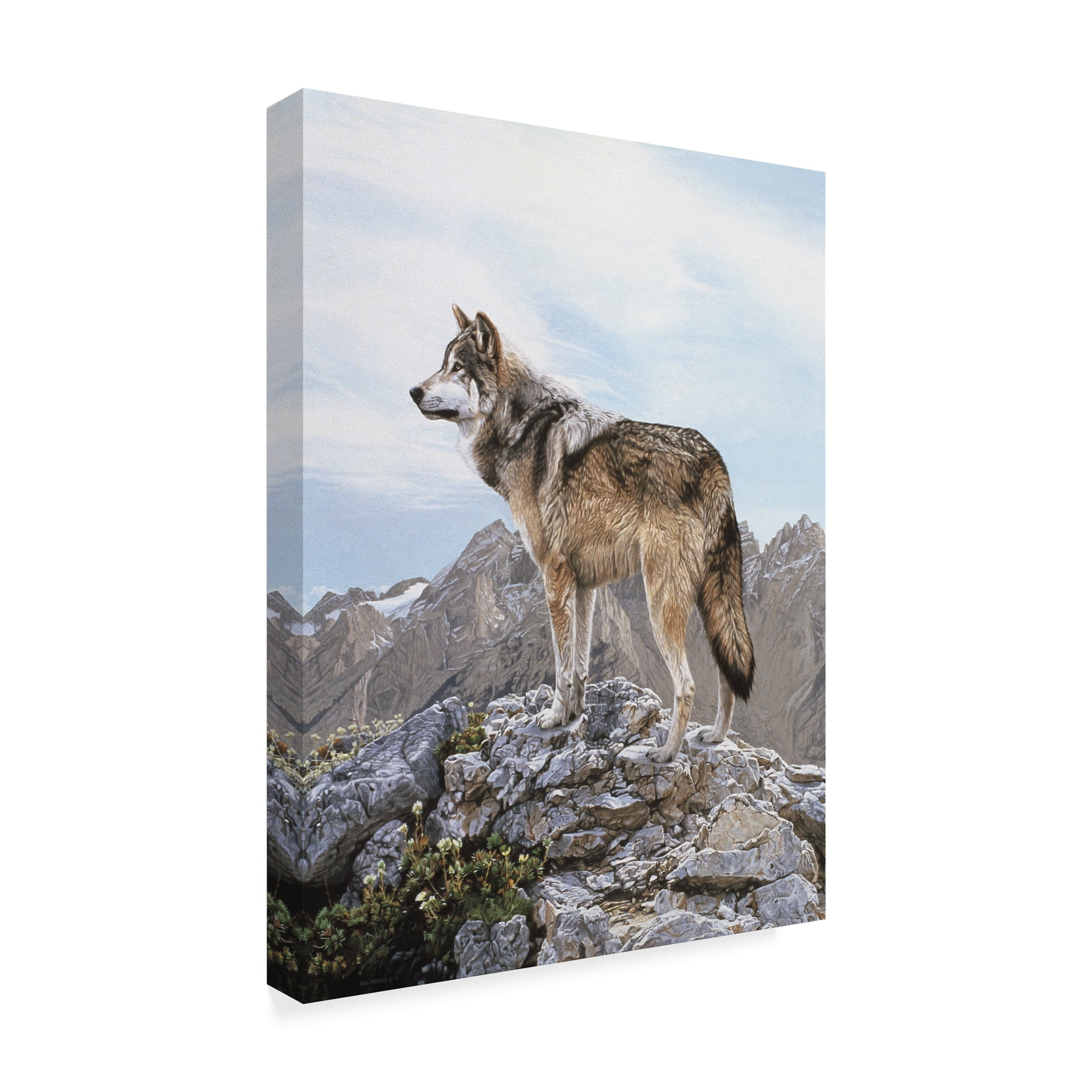 Trademark Fine Art 'Alpine Lookout' Canvas Art by Ron Parker
