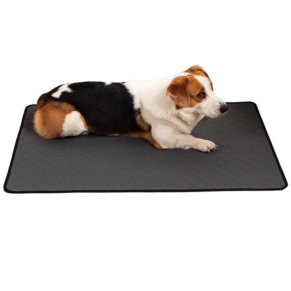 Amazon Washable Pet Pee Pads Amazon Washable Dog Training Pads