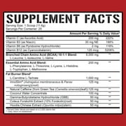 5% Nutrition Rich Piana AllDayYou Shred BCAA Powder | Amino Acid Supplement for Enhanced Performance | Pre-Workout for Energy, Hydration, Endurance & Recovery (Blueberry Lemonade)