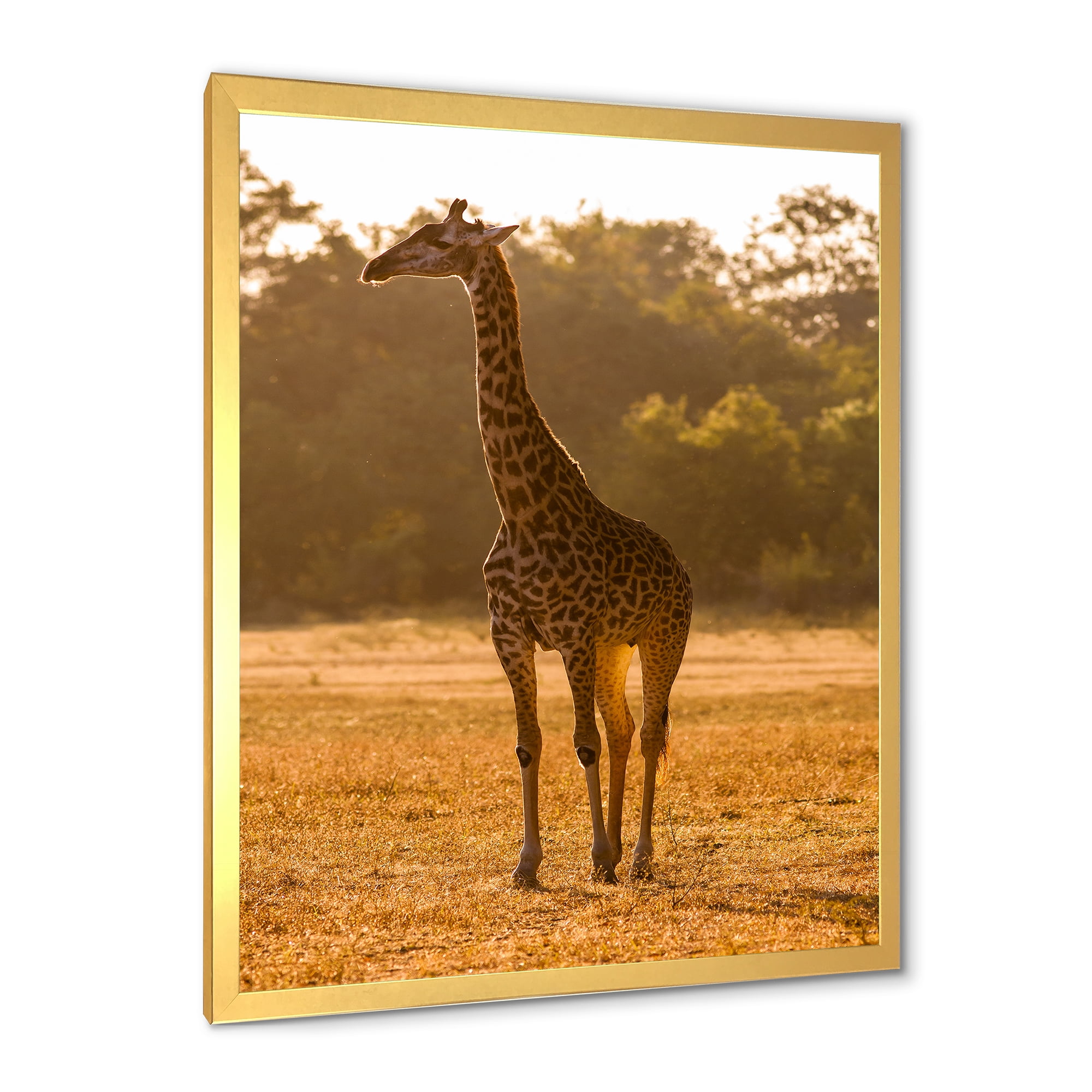 Designart 'African Giraffe In The Wildlife II' Farmhouse Framed Art Print