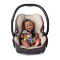 thumbnail image 4 of Baby Einstein Press & Play Pals, 4 of 8