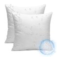 thumbnail image 1 of Juego de 2 insertos de almohada para exteriores Ashler, resistentes al agua, 20 x 20 cm, 1 of 7