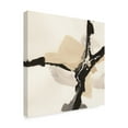 thumbnail image 2 of Trademark Fine Art 'Creamy Tan III' Canvas Art by Chris Paschke, 2 of 3