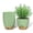 Green&Brown, variant on FIASON 5 Pack 6 Inch White with Brown Self Watering Plant Pots, with Watering Lip, Drainage Holes & Removable Saucer, Flower Planters for Indoor Outdoor Garden House Plants