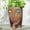 Thinking, variant on Head Planters for Indoor Plants, Face Flower Pot Head Planter Succulent Planters Unique Face Planter with Drainage Hole - Rustic Thinking Girl Closed Eyes